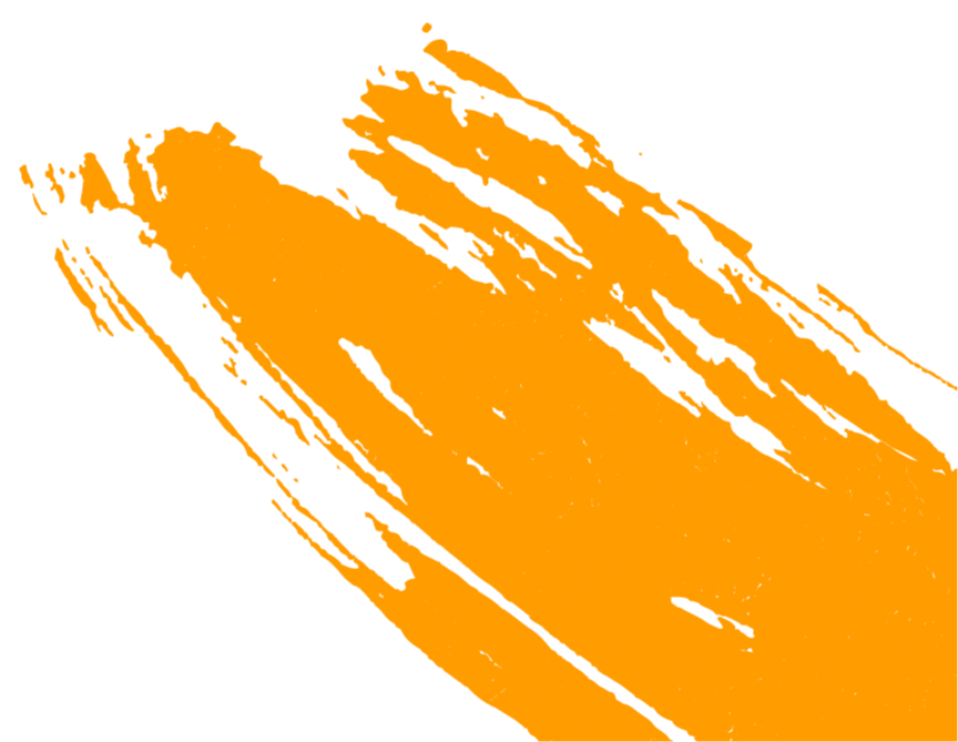 soya chunks manufacturer